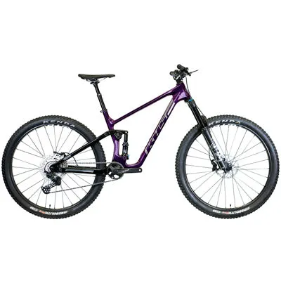 6600 L Raisin 2024  6600  Mountain