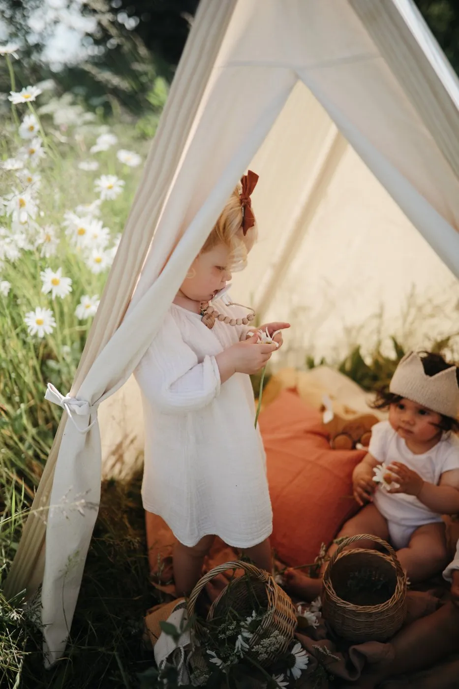 Indoor/Outdoor Play Tent