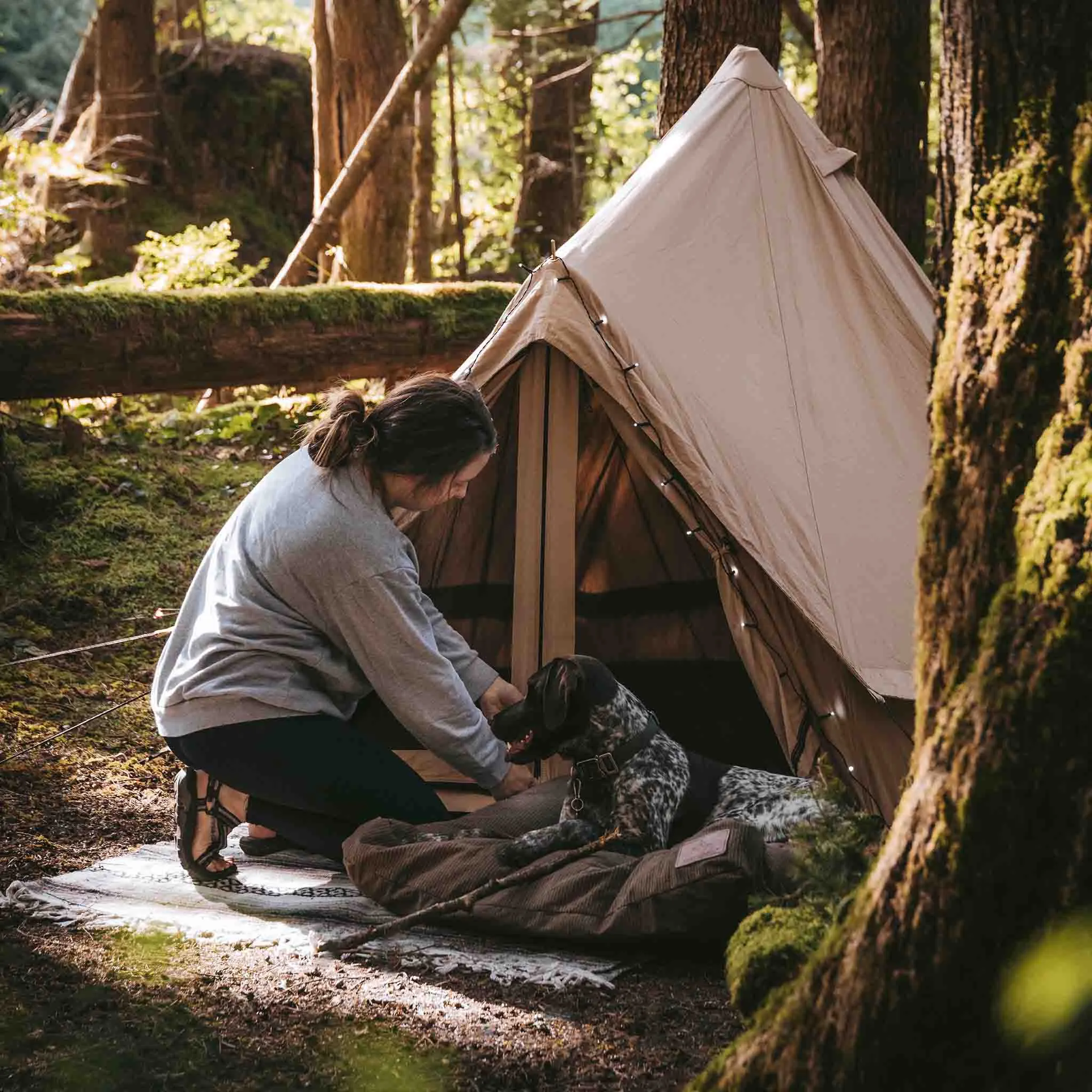 Regatta 8' Canvas Bell Tent