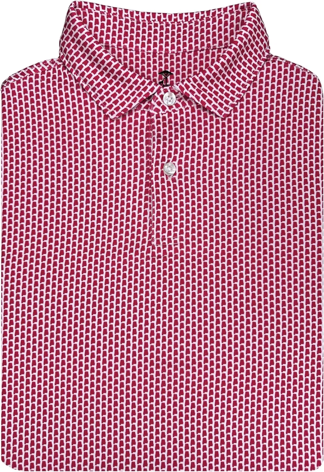 State Print Golf Shirt for Men ??Mens University Polo Moisture Wicking Dry Fit Performance Short Sleeve Regular Fit