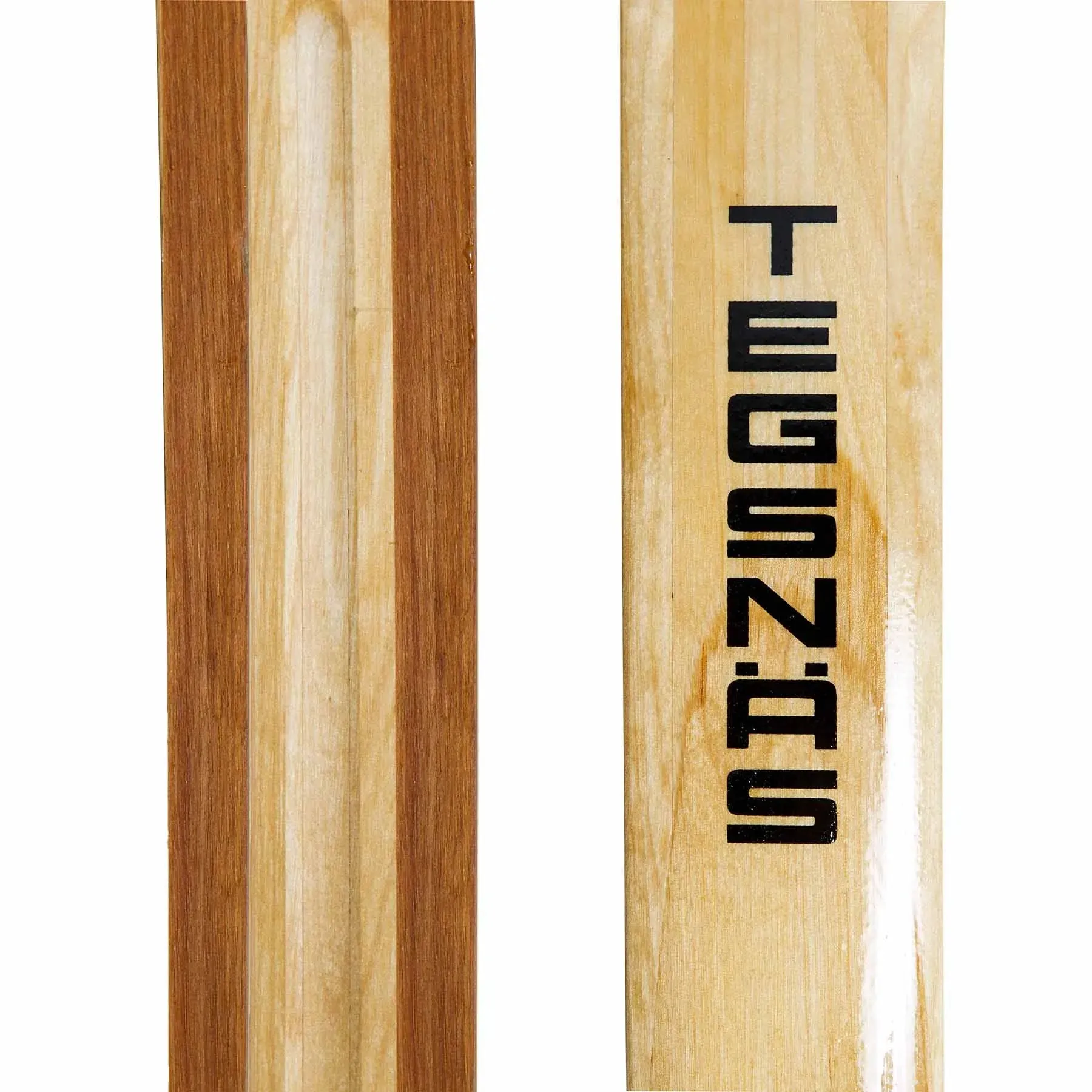 Tegsnas Rajd Skis