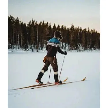 Tegsnas Rajd Skis
