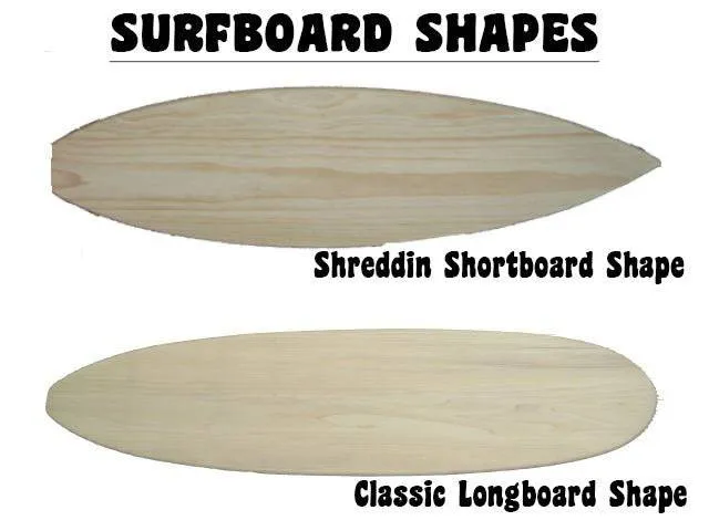 Under the Palms - Photo Series Surfboard